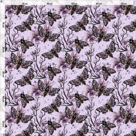Fantasy Moths