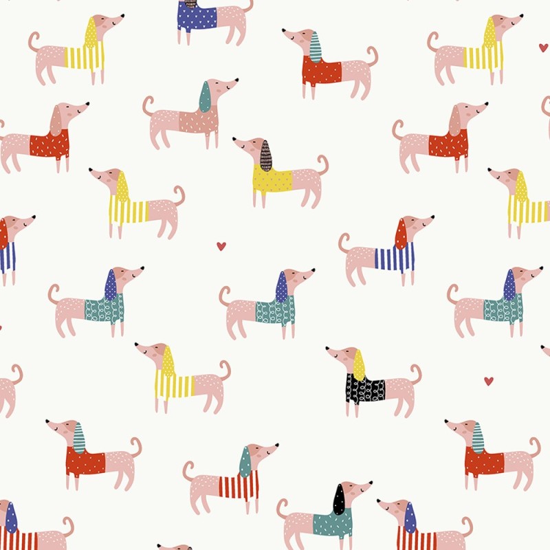 Modern dogs 2