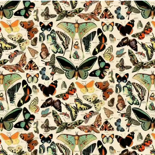 Teal Butterflies - Free Spirit Tim Holtz | 45 cm x 110 cm Wide