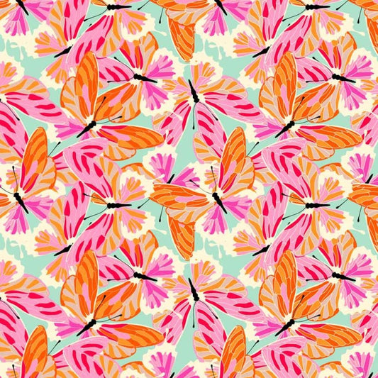 Colourful Butterflies